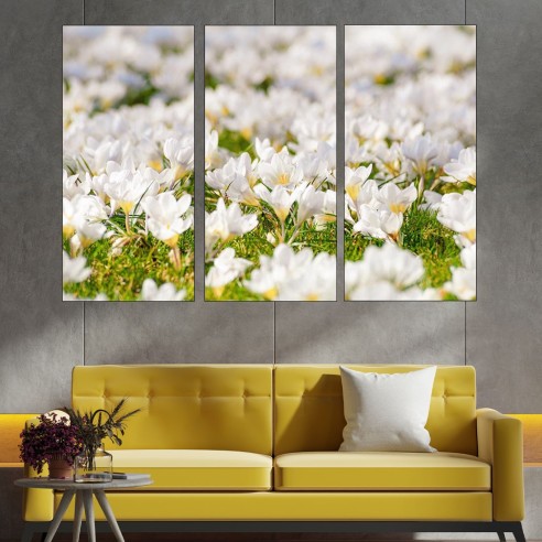Поляна с бели мизухари - картина пано за стена - 2