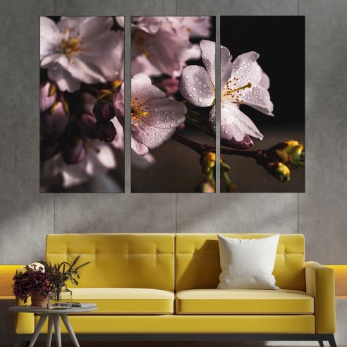 Роса върху черешов цвят - картина пано за стена - 2