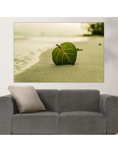 Зелено листо в пясъка - картина пано за стена - 1