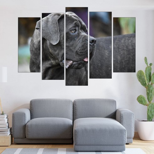 Черен Cane Corso - картина пано за стена