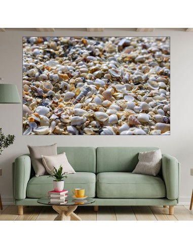 Мидени черупки на плажа - картина пано за стена - 1