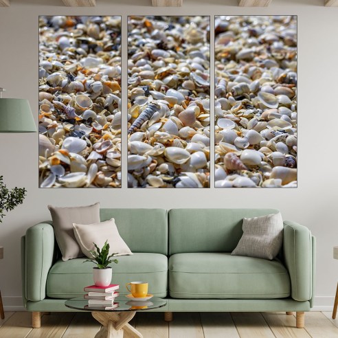 Мидени черупки на плажа - картина пано за стена - 2