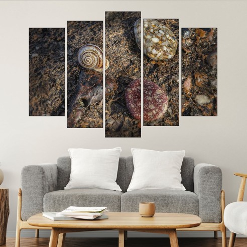 Охлюв и камъни - картина пано за стена - 3