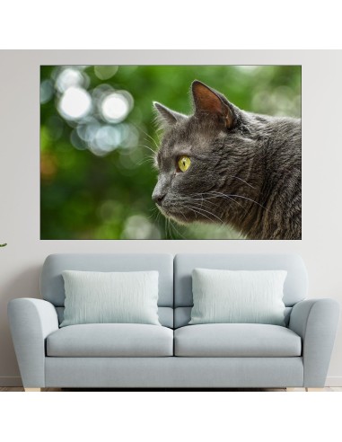 Вторачено сиво коте  - картина пано за стена - 1