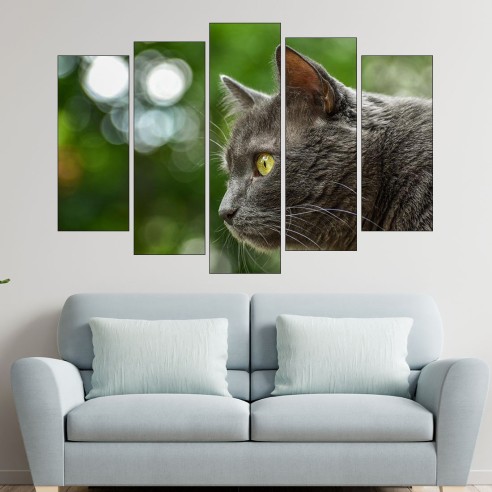 Вторачено сиво коте  - картина пано за стена - 3