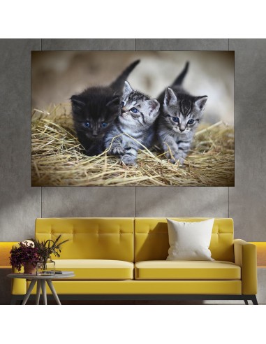 Три малки котета - картина пано за стена - 1