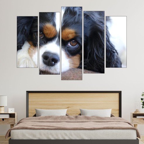 Легнал кавалер кинг чарлз шпаньол  - картина пано за стена - 3