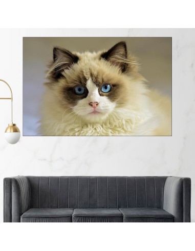 Портрет на синеока котка - картина пано за стена - 1