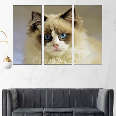 Портрет на синеока котка - картина пано за стена - 2
