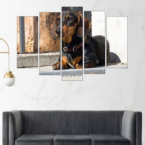 Портрет на Дакел - картина пано за стена - 3