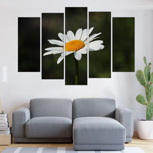 Цъфнала бяла маргаритка - картина пано за стена - 3