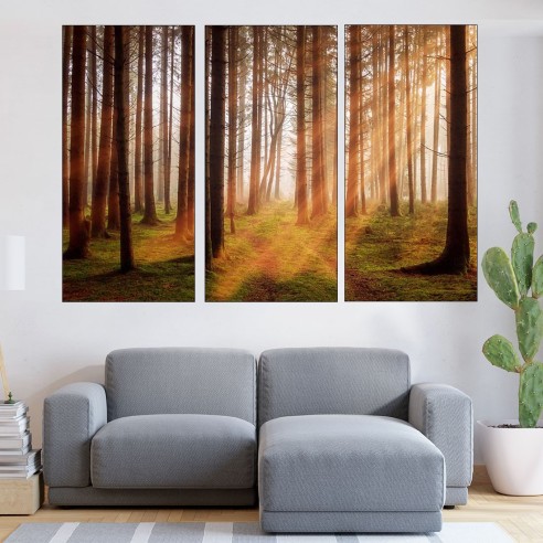 Изгрев в борова гора - картина пано за стена - 2