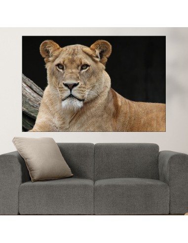 Портрет на лъвица - картина пано за стена - 1