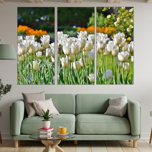 Цъфнали бели лалета - картина пано за стена - 2
