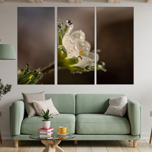Сутрешна роса - картина пано за стена - 2