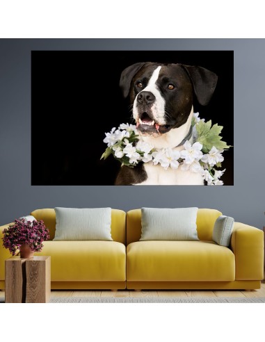 Портрет на куче с венец от цветя - картина пано за стена - 1