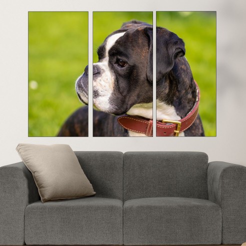 Портрет на малък черен Боксер - картина пано за стена - 1