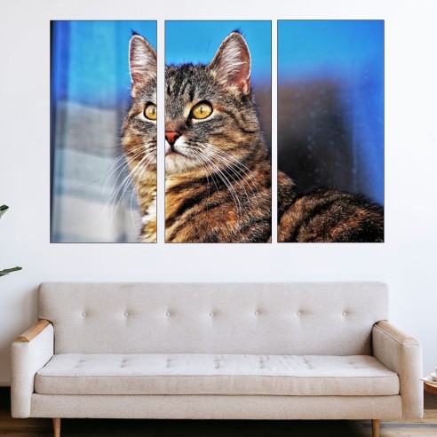 Портрет на улична котка - картина пано за стена - 2