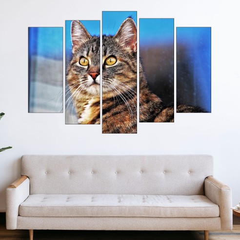 Портрет на улична котка - картина пано за стена - 3