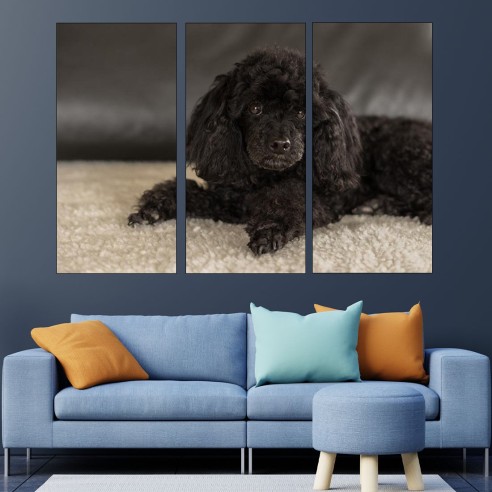 Портрет на черен пудел - картина пано за стена - 2