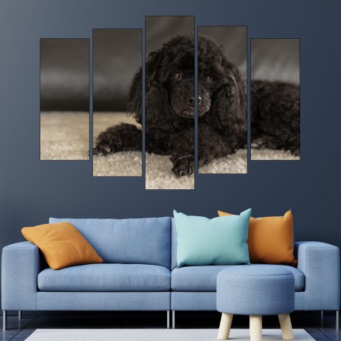Портрет на черен пудел - картина пано за стена - 3