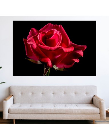 Червена роза на черен фон - картина пано за стена - 1