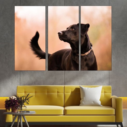 Красив черен лабрадор - картина пано за стена - 2