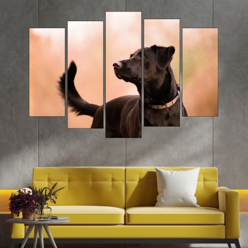 Красив черен лабрадор - картина пано за стена - 3