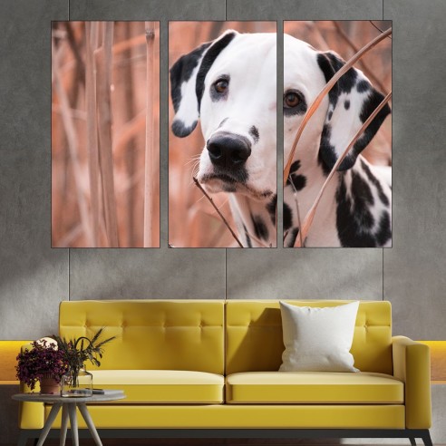 Далматинец -портрет - картина пано за стена - 2