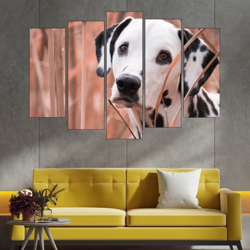 Далматинец -портрет - картина пано за стена - 3