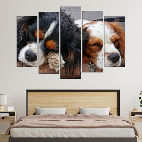 Спящи кученца Кавалер - картина пано за стена - 3
