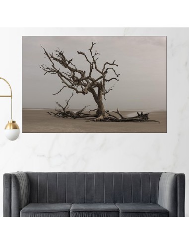 Сухо дърво на плажа - картина пано за стена - 1
