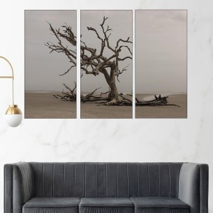 Сухо дърво на плажа - картина пано за стена - 1 2