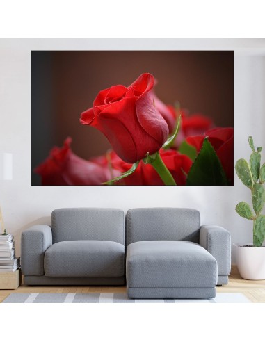 Червена роза в близък план - картина пано за стена - 1