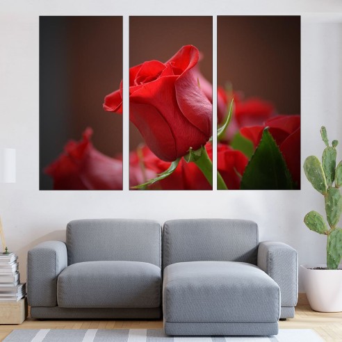 Червена роза в близък план - картина пано за стена - 2