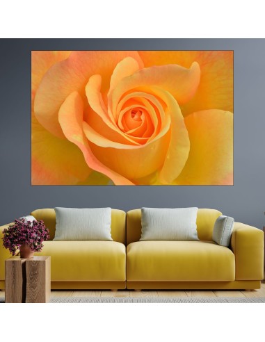 Цъфнала жълта роза в близък план - картина пано за стена - 1