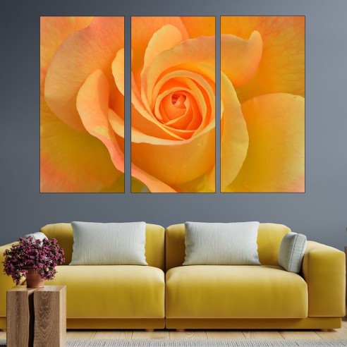 Цъфнала жълта роза в близък план - картина пано за стена - 2