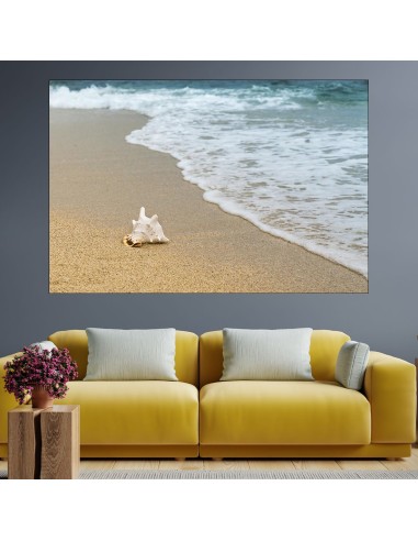 Рапан на самотен плаж - картина пано за стена - 1