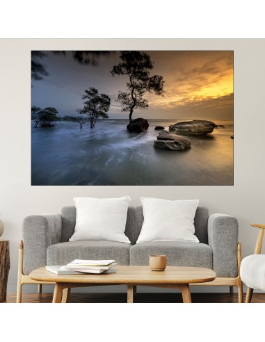 Мангрови дървета във водата - картина пано за стена - 1