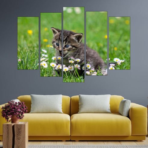 Коте и маргаритки - картина пано за стена - 3