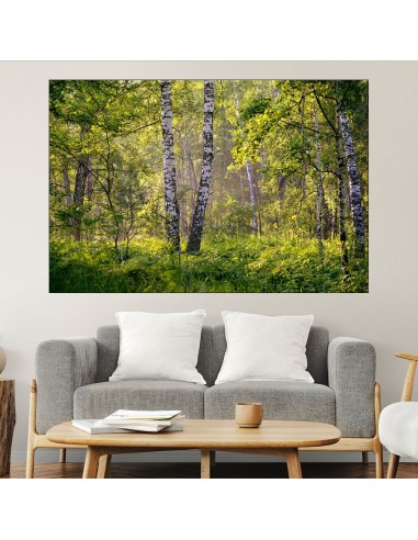 Брезова гора на разсъмване - картина пано за стена - 1