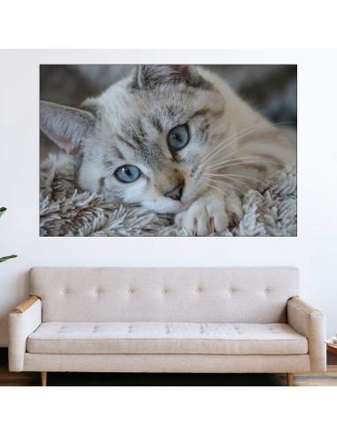 Портрет на малко коте - картина пано за стена - 1