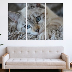 Портрет на малко коте - картина пано за стена - 1 2