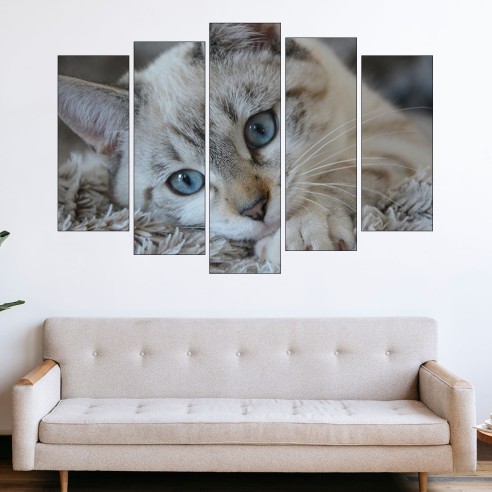 Портрет на малко коте - картина пано за стена - 3