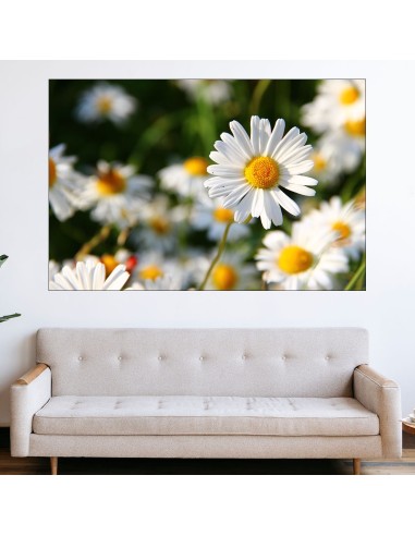 Цветя бели маргаритки - картина пано за стена - 1