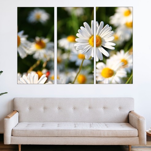 Цветя бели маргаритки - картина пано за стена - 2