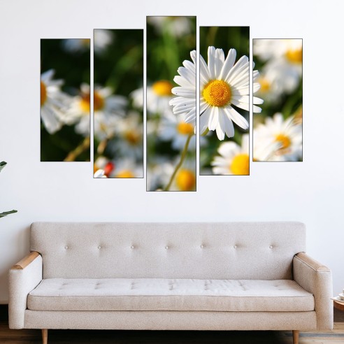 Цветя бели маргаритки - картина пано за стена - 3