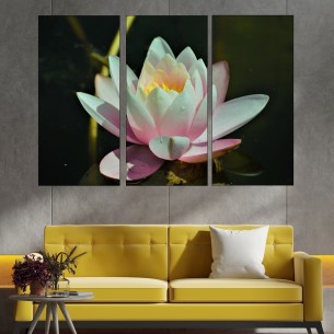 Цъфнала бяла водна лилия - картина пано за стена - 1 2