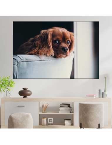 Кученце на диван - картина пано за стена - 1