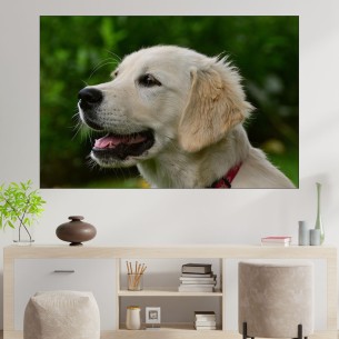 Голдън ретривър портрет - картина пано за стена - 1
